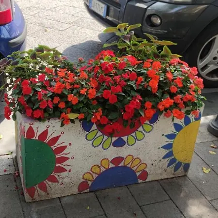 Casa vacanze La Casetta Bianca Vicino Mare Vibo Valentia Marina