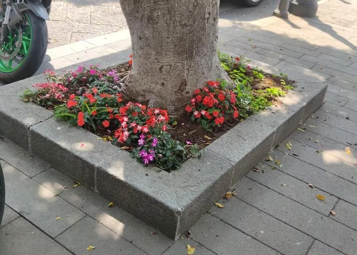 La Casetta Bianca Vicino Mare * Vibo Valentia Marina